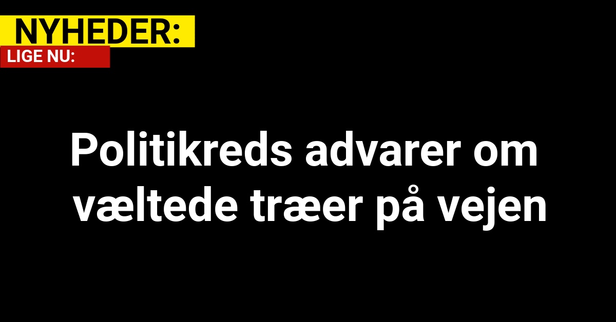 Politikreds advarer om væltede træer på vejen