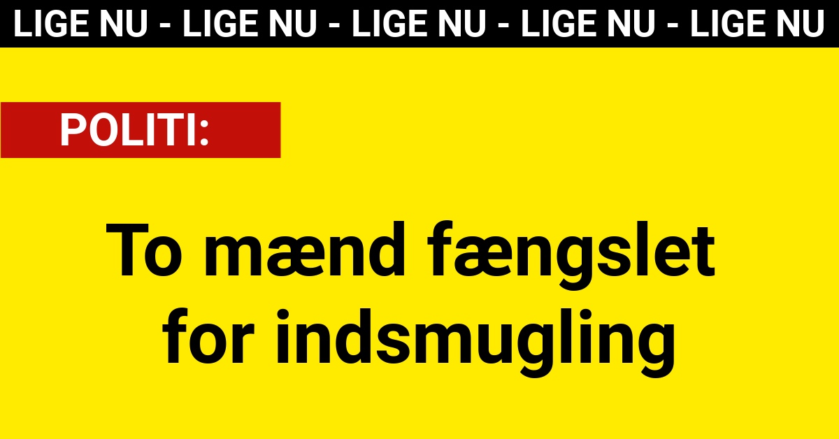 To mænd fængslet for indsmugling