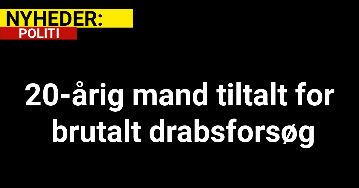 20-årig mand tiltalt for brutalt drabsforsøg