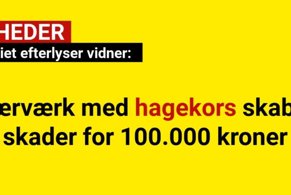 Politiet efterlyser vidner: Hærværk med hagekors skaber skader for 100.000 kroner