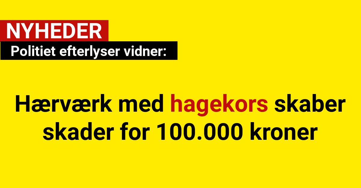 Politiet efterlyser vidner: Hærværk med hagekors skaber skader for 100.000 kroner