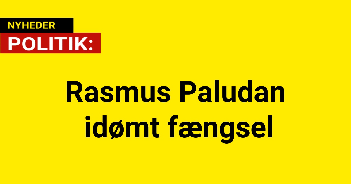 Rasmus Paludan idømt fængsel