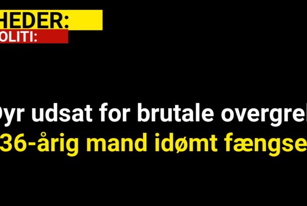 Dyr udsat for brutale overgreb: 36-årig mand idømt fængsel