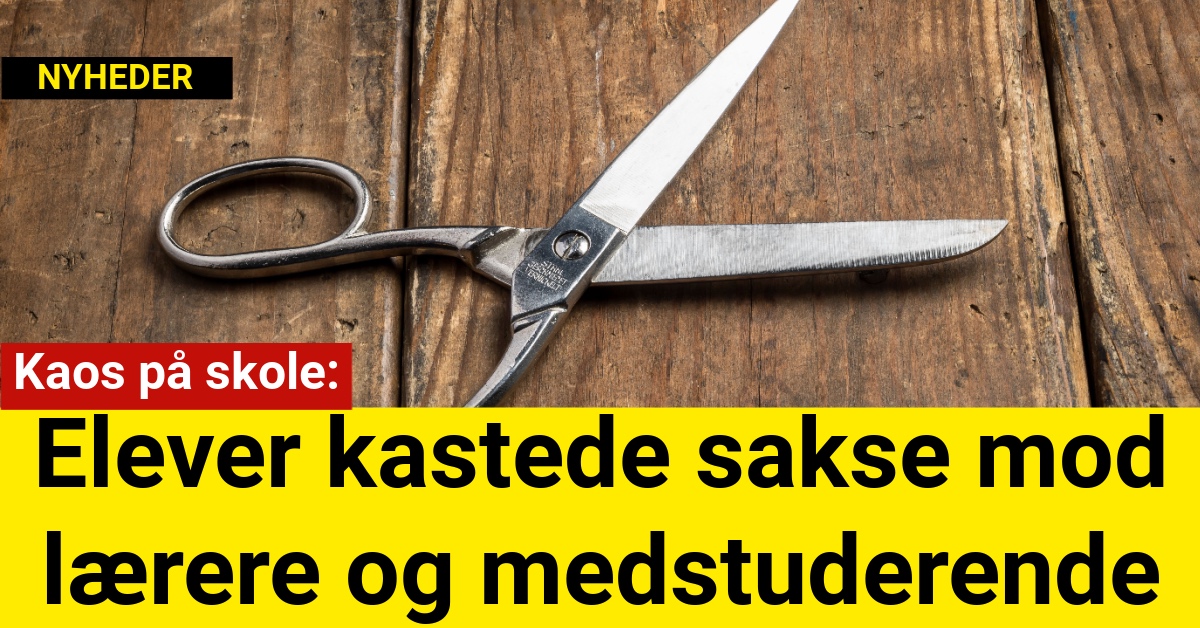 elever kastede sakse