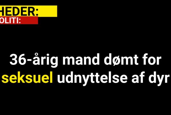 36-årig mand dømt for seksuel udnyttelse af dyr