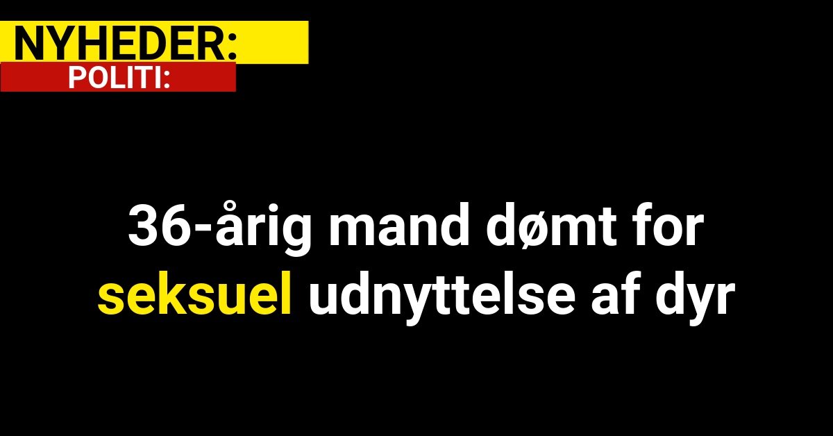 36-årig mand dømt for seksuel udnyttelse af dyr