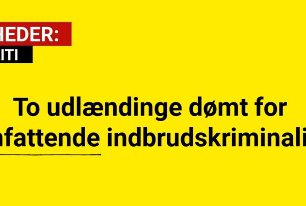 To udlændinge dømt for omfattende indbrudskriminalitet