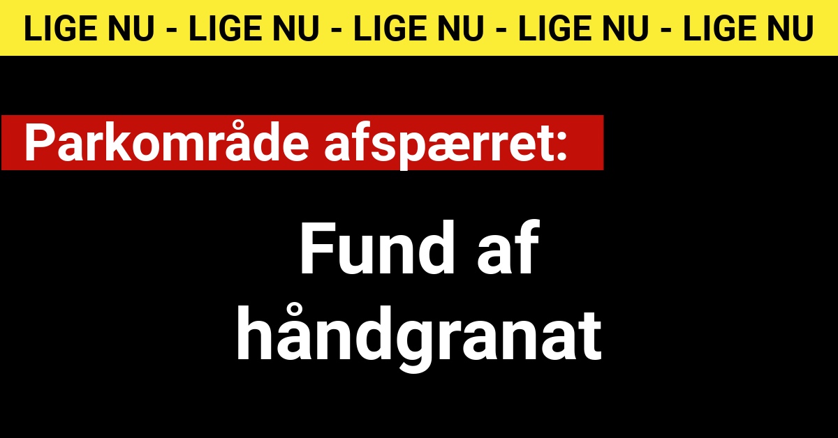 Park afspærret: Fund af håndgranat