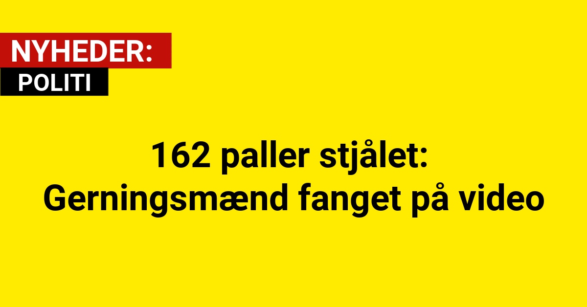 162 paller stjålet: Gerningsmænd fanget på video