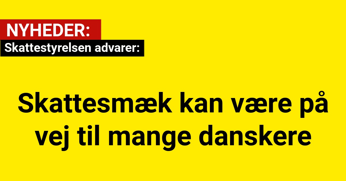 Skattestyrelsen advarer: