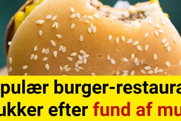 Populær burger-restaurant lukker efter fund af mus