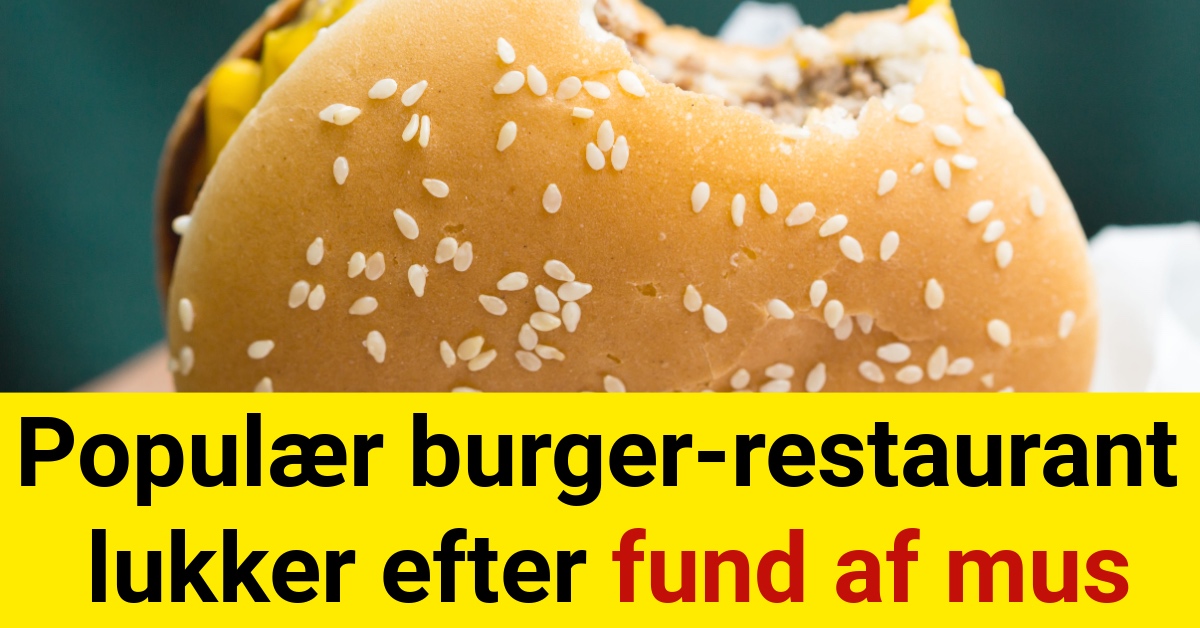 Populær burger-restaurant lukker efter fund af mus