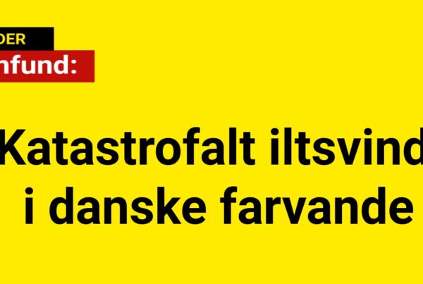 Katastrofalt Iltsvind i danske farvande