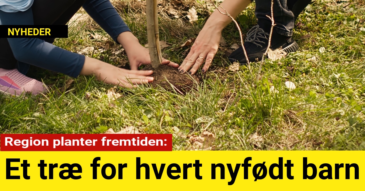 Region planter fremtiden: