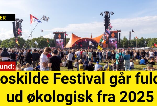 Roskilde Festival går fuldt ud økologisk fra 2025