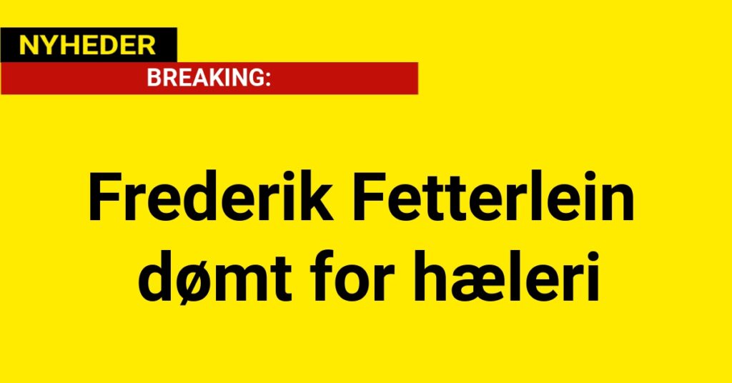 Frederik Fetterlein dømt for hæleri
