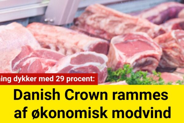 Danish Crown rammes af økonomisk modvind: Indtjening dykker med 29 procent