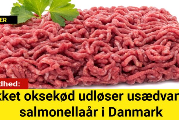 Hakket oksekød udløser usædvanligt salmonellaår i Danmark