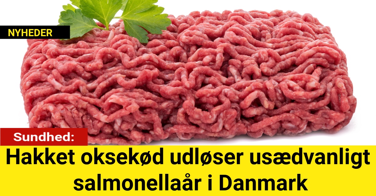 Hakket oksekød udløser usædvanligt salmonellaår i Danmark