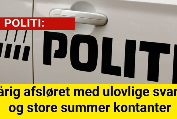 18-årig afsløret med ulovlige svampe og store summer kontanter