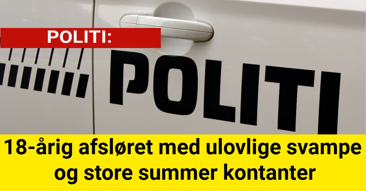 18-årig afsløret med ulovlige svampe og store summer kontanter