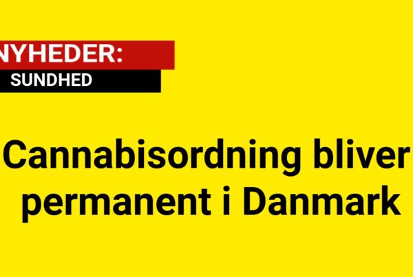 Cannabisordning bliver permanent i Danmark