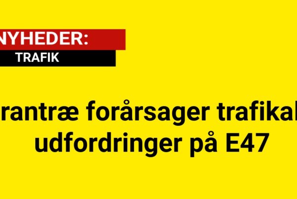 Grantræ forårsager trafikale udfordringer på E47