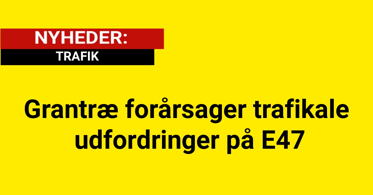 Grantræ forårsager trafikale udfordringer på E47