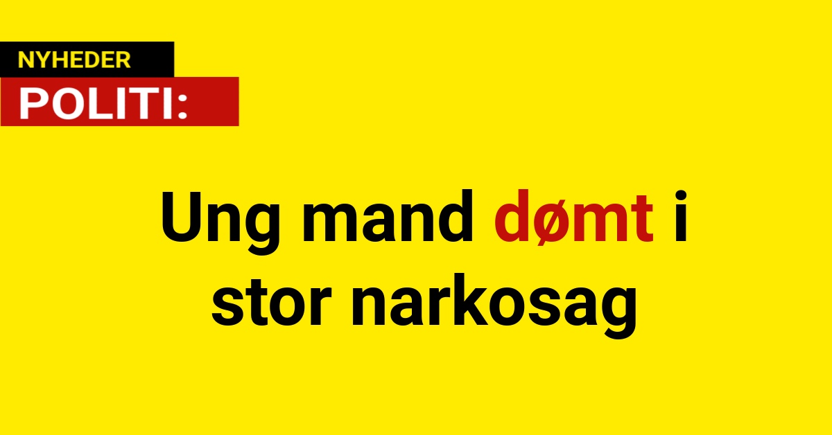 Ung mand dømt i stor narkosag