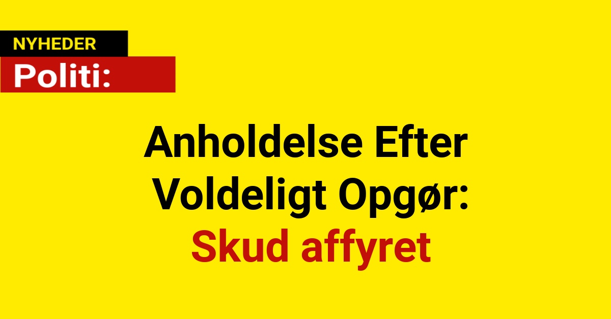 Anholdelse Efter Voldeligt Opgør: Skud affyret