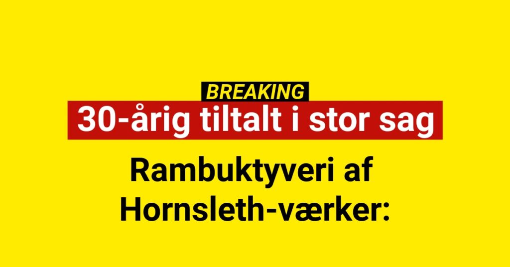 Rambuktyveri af Hornsleth-værker: 30-årig tiltalt i stor sag