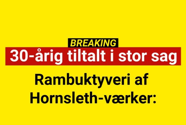 Rambuktyveri af Hornsleth-værker: 30-årig tiltalt i stor sag