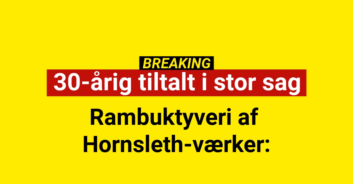 Rambuktyveri af Hornsleth-værker: 30-årig tiltalt i stor sag