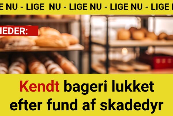 Kendt bageri lukket efter fund af skadedyr