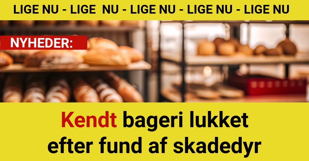 Kendt bageri lukket efter fund af skadedyr