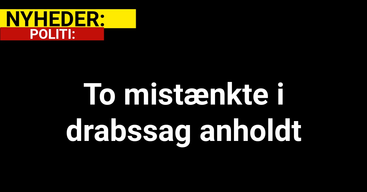 To mistænkte i drabssag anholdt