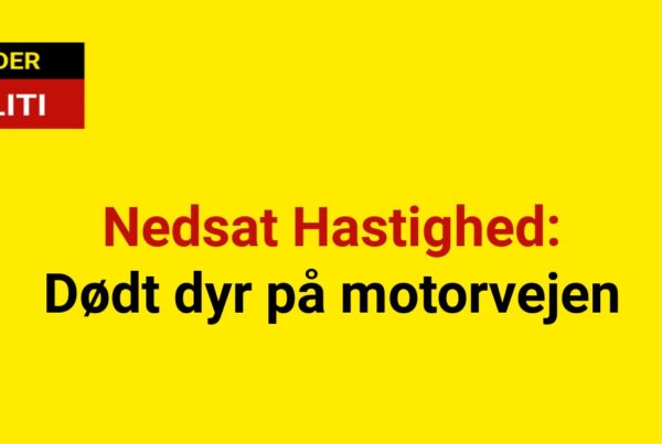 Nedsat Hastighed: Dødt dyr på motorvejen