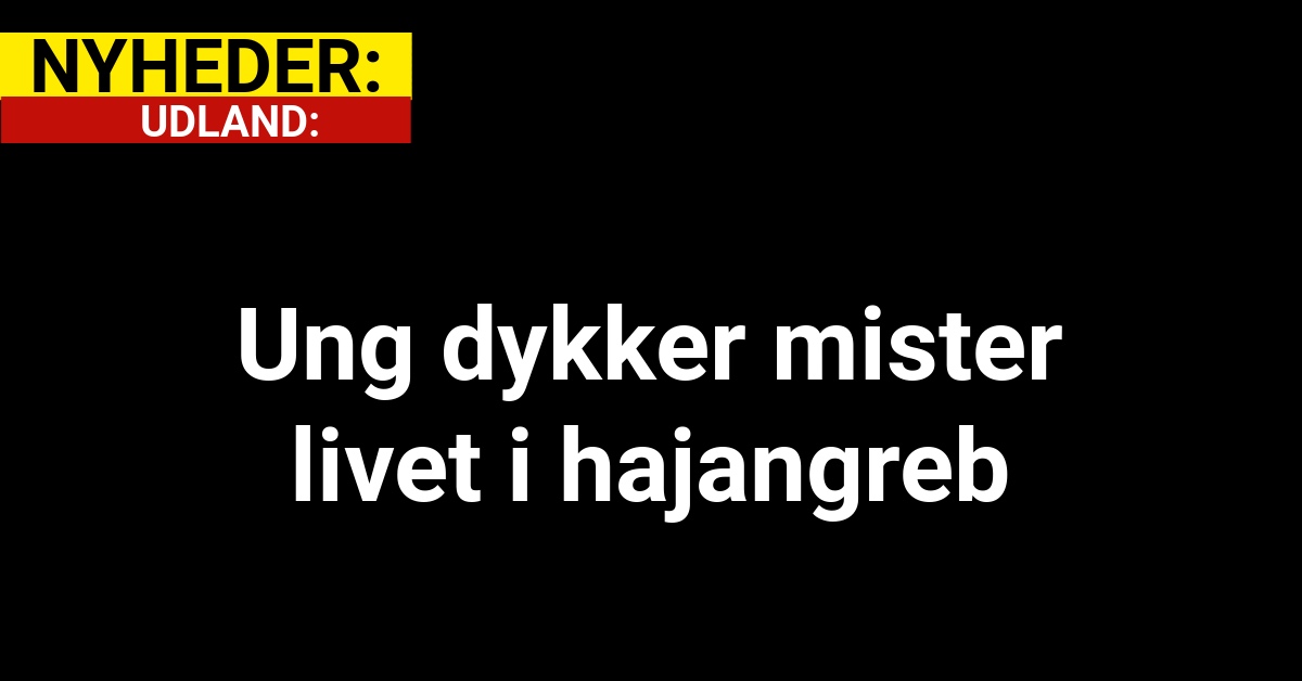 Ung dykker mister livet i hajangreb