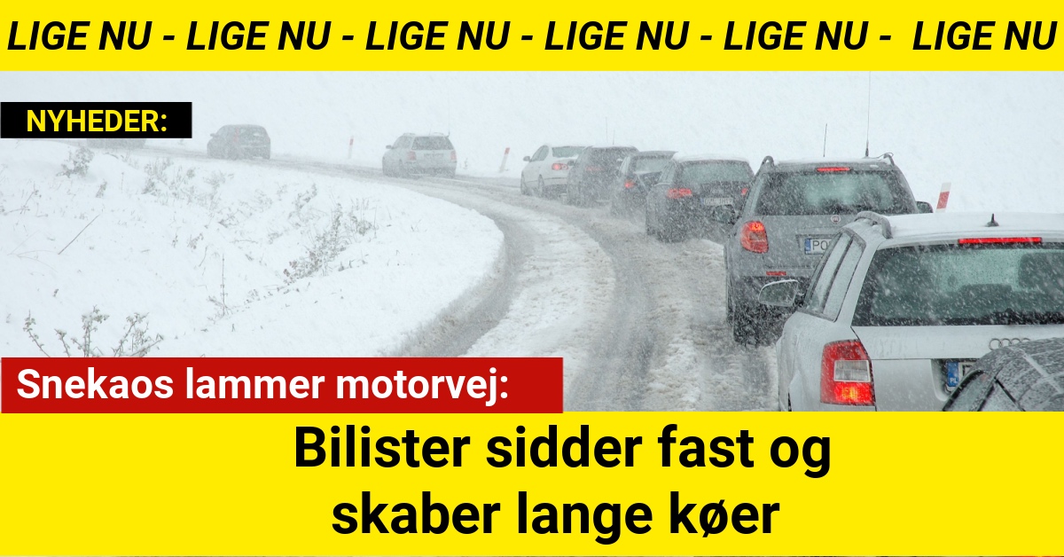 Snekaos lammer motorvej: Bilister sidder fast og skaber lange køer