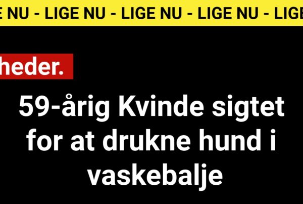 59-årig Kvinde sigtet for at drukne hund i vaskebalje