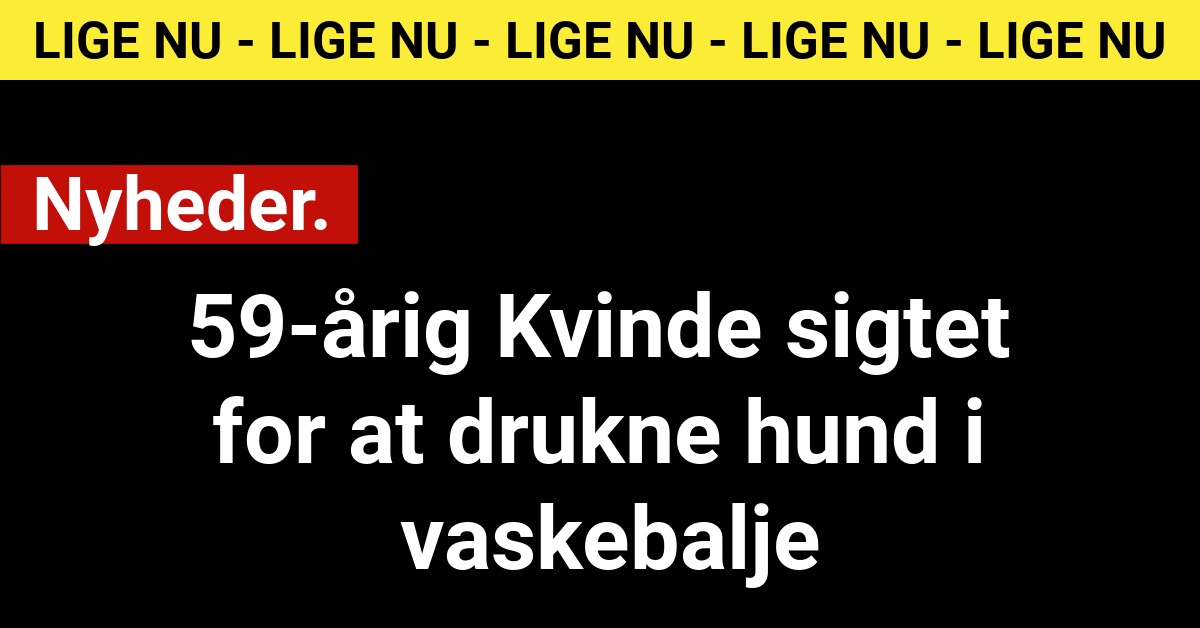 59-årig Kvinde sigtet for at drukne hund i vaskebalje