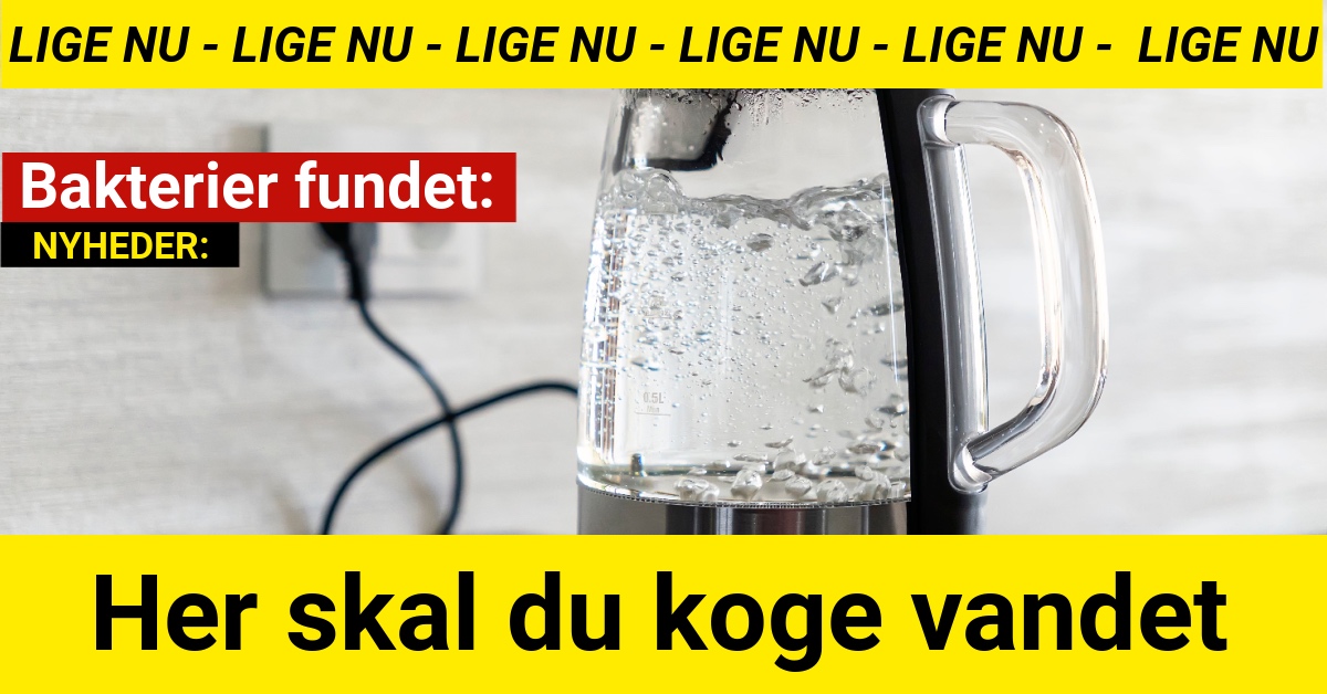 Bakterier fundet: