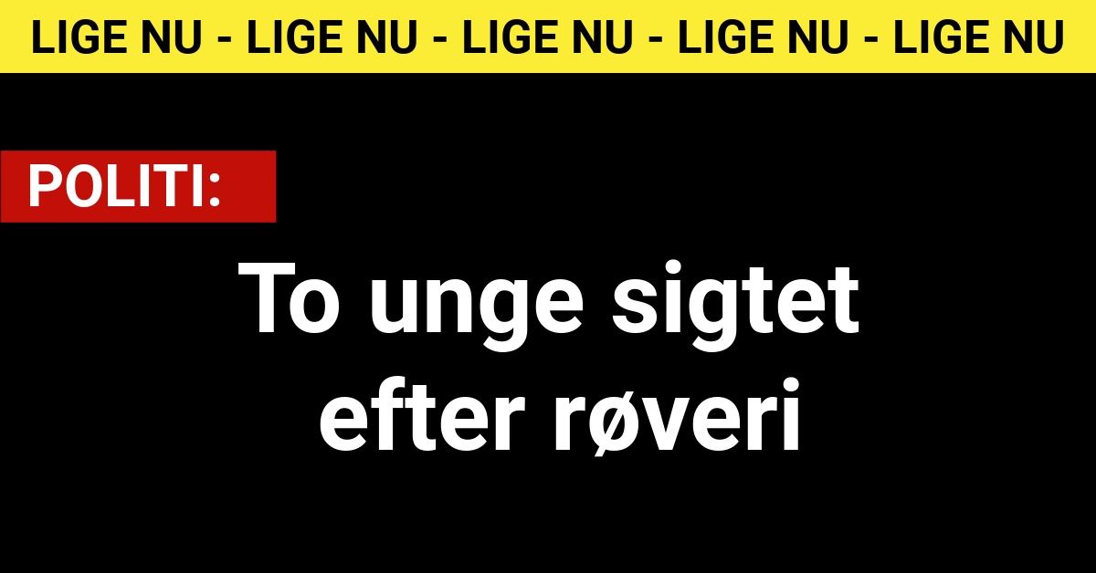 https://www.tv2nord.dk/aalborg/to-unge-maend-varetaegtsfaengslet