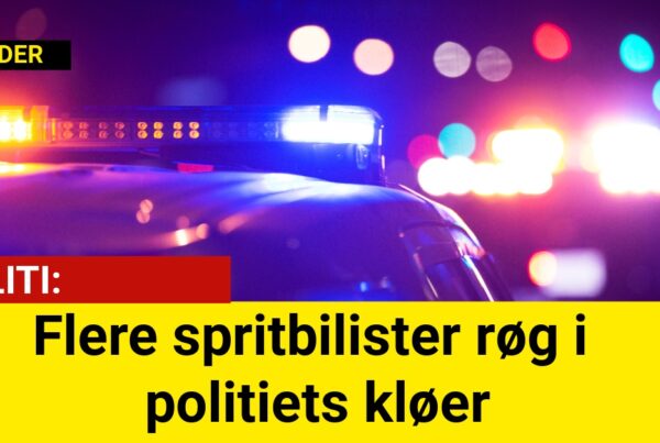 Flere spritbilister røg i politiets kløer: