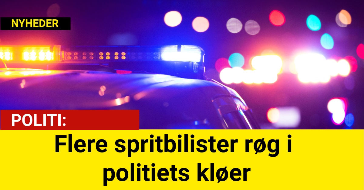 Flere spritbilister røg i politiets kløer: