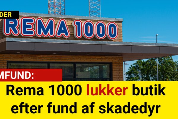 Rema 1000 lukker butik efter fund af skadedyr
