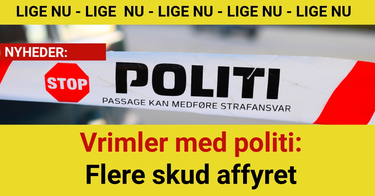 Vrimler med politi: Flere skud affyret