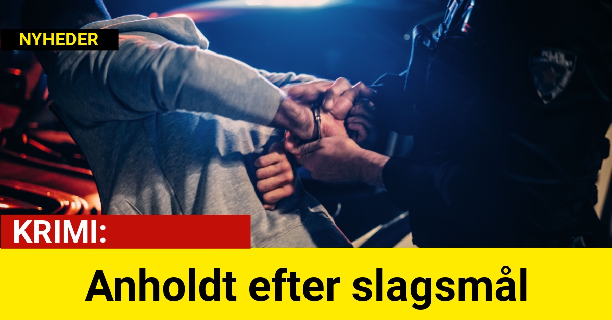 Anholdt efter slagsmål - Krimi