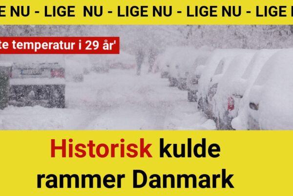 Historisk kulde rammer Danmark: 'Laveste temperatur i 29 år'