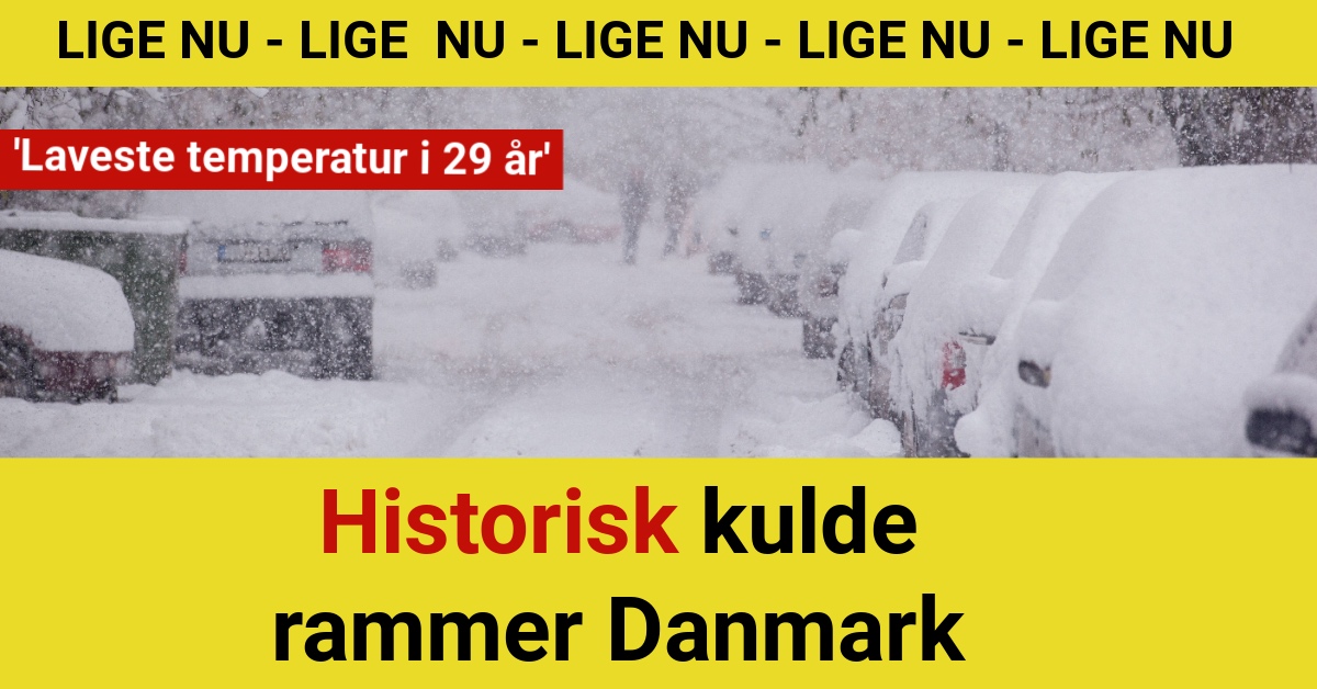 Historisk kulde rammer Danmark: 'Laveste temperatur i 29 år'